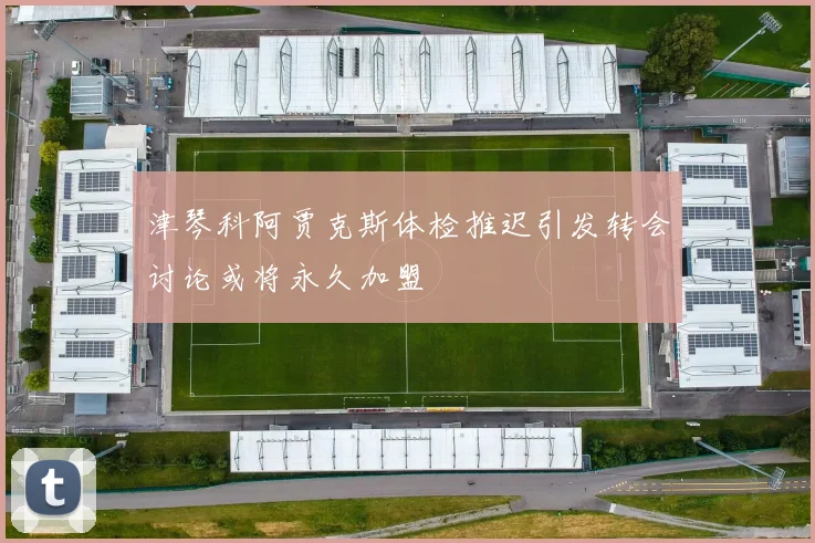 津琴科阿贾克斯体检推迟引发转会讨论或将永久加盟